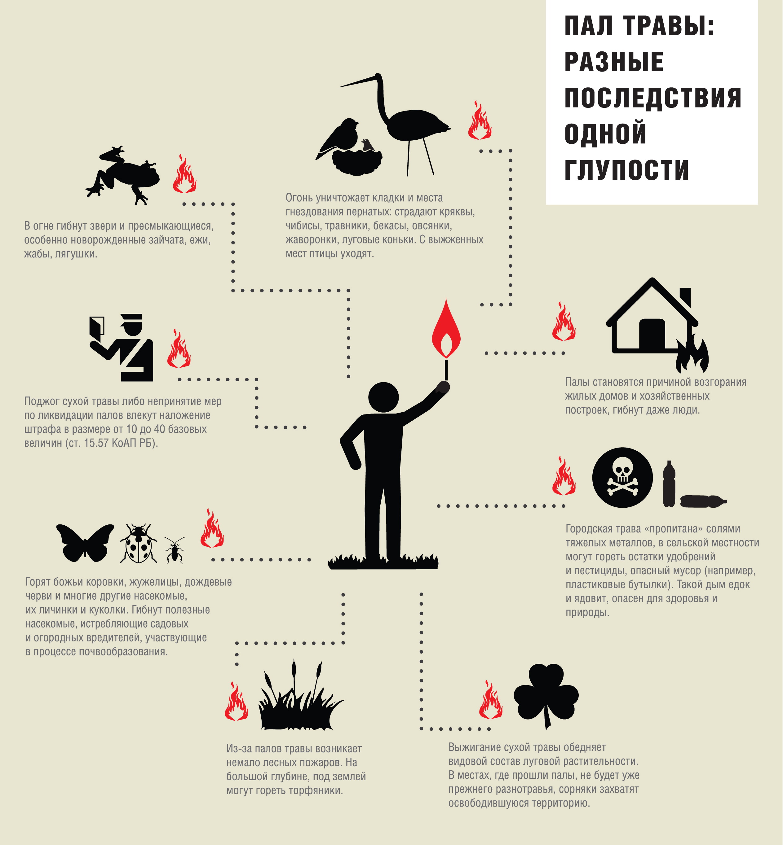 Пал травы презентация для детей